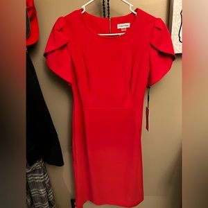 Calvin Klein pink garden dress